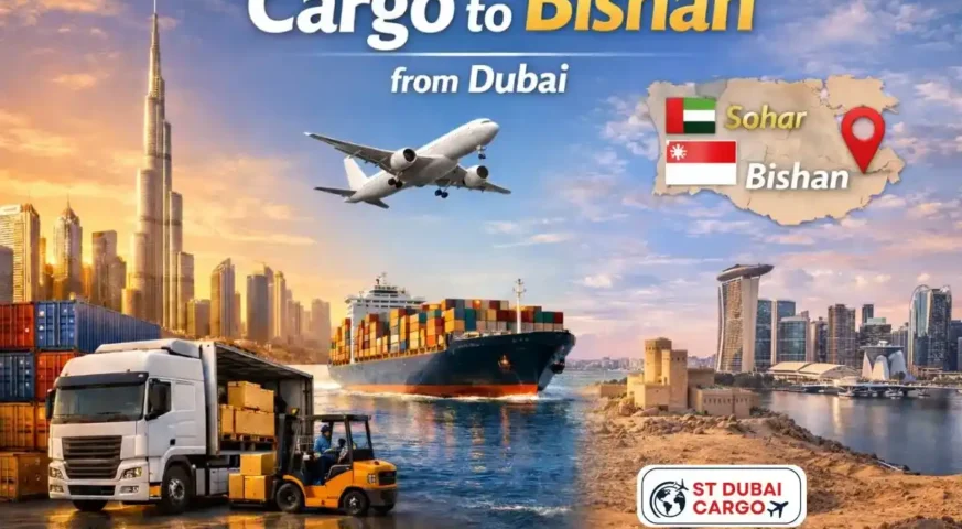 Cargo to Bishan from Dubai