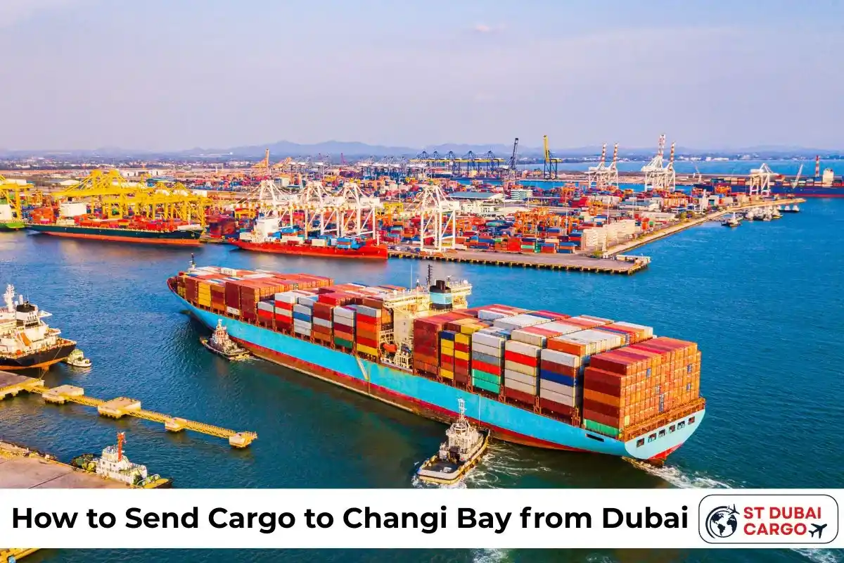 How to Send Cargo to Changi Bay from Dubai