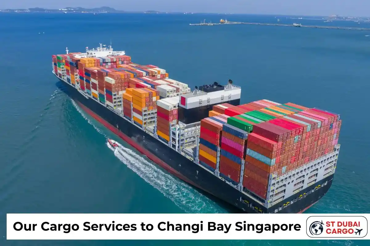 Our Cargo Services to Changi Bay Singapore