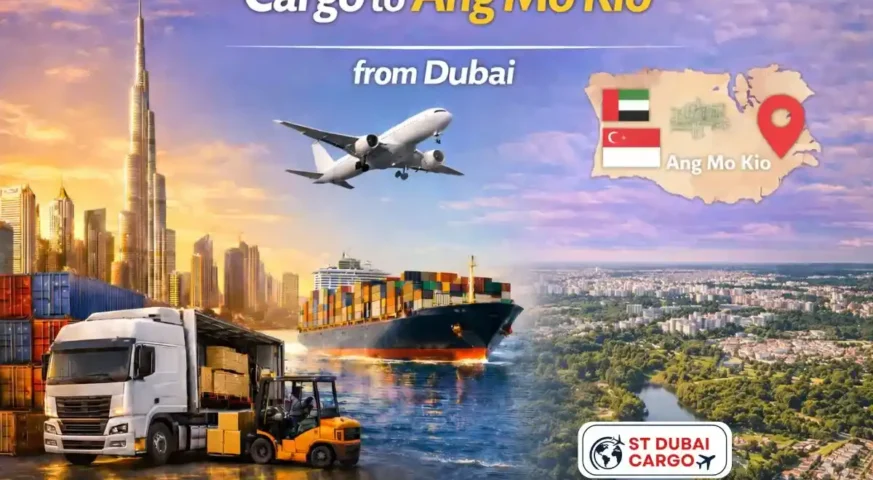 Cargo to Ang Mo Kio from Dubai