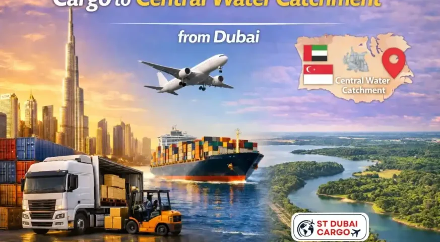 Cargo to Central Water Catchment from Dubai