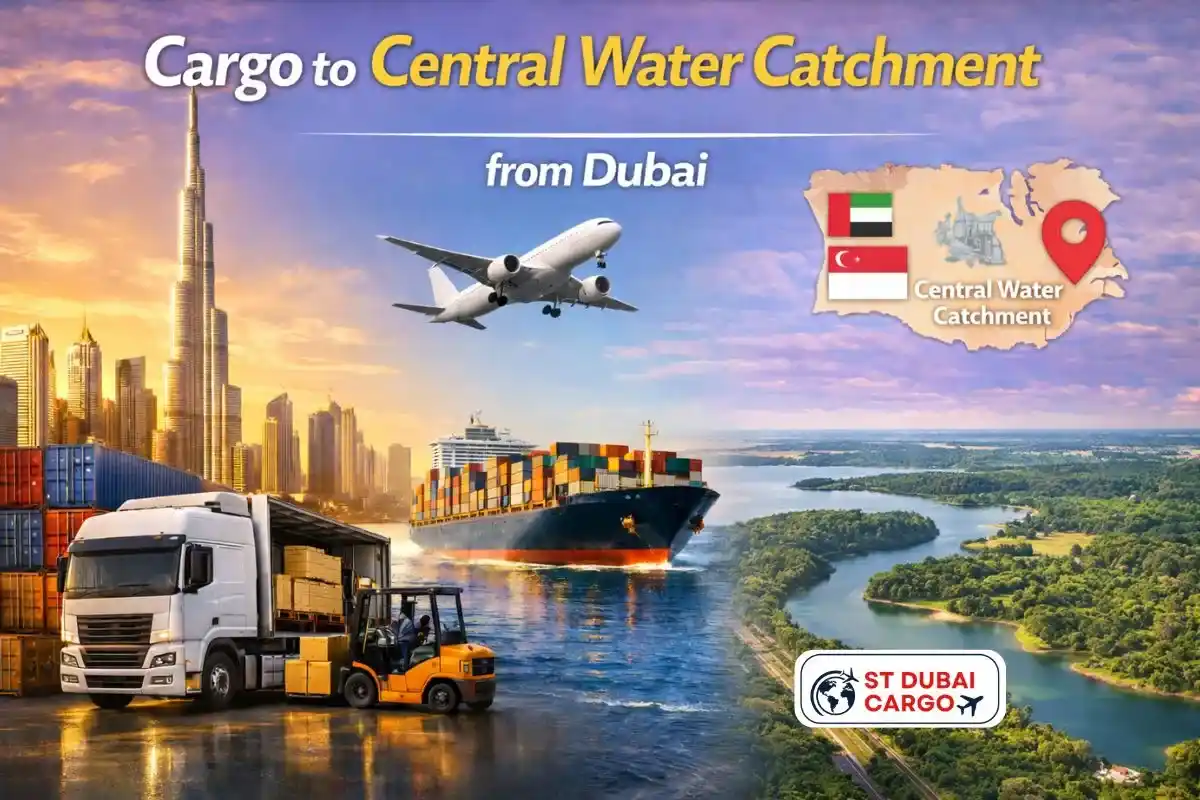 Cargo to Central Water Catchment from Dubai