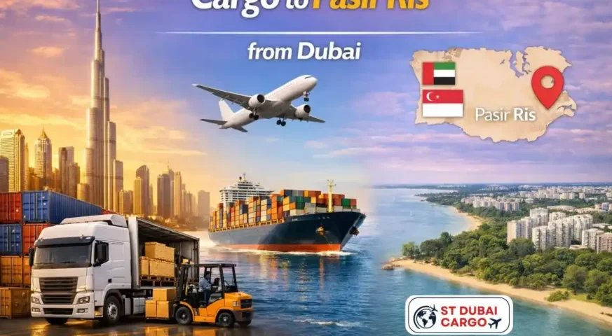Cargo to Pasir Ris from Dubai