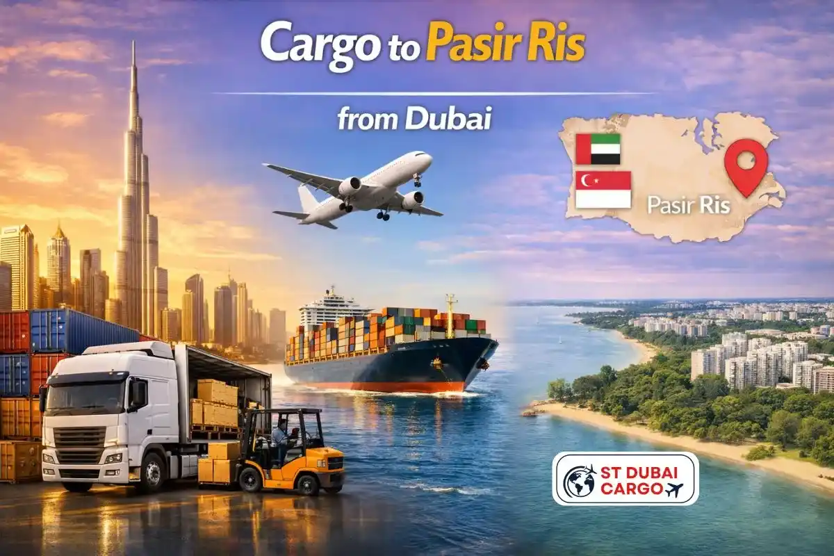 Cargo to Pasir Ris from Dubai