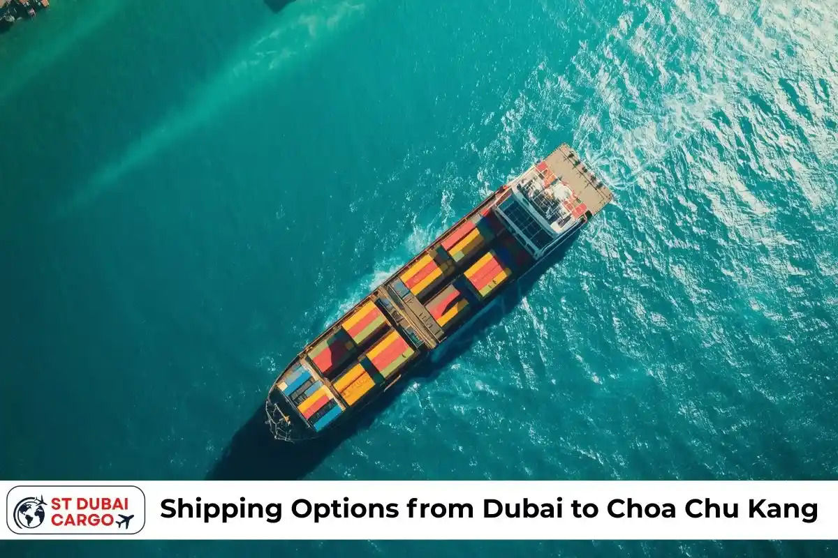 Shipping Options from Dubai to Choa Chu Kang