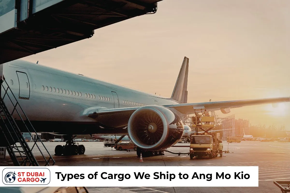 Types of Cargo We Ship to Ang Mo Kio